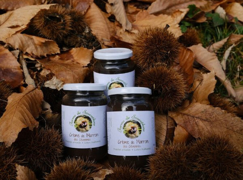 Nogales - Crème de marron des Cévennes Bio et AOC - 410g