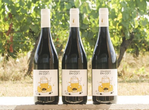 Domaine la Paganie - Vin rouge nature – Démarrage en COT –  3 bouteilles