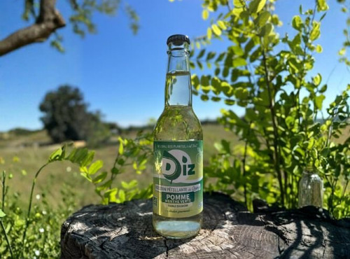 Ferme de Vanadal - DIZ Pomme-Menthe verte