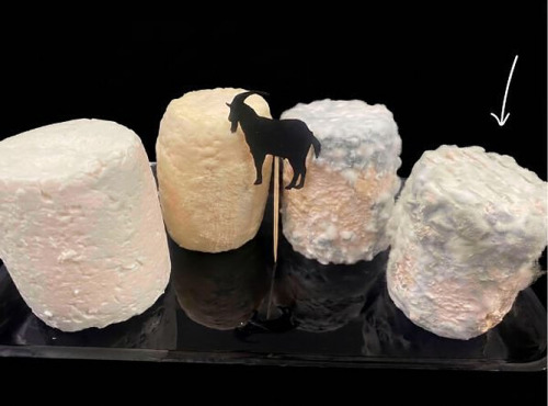Ferme les Avoineries - Grand chèvre affiné x4