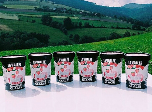 Les Glaces de la Vallée - Coffret Yaourt glacé à la fraise "la Vallée" 6x500ml