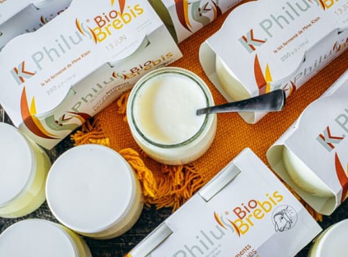 Laiterie du Climont - K-Philus - K-philus Offre Pro : 36 Lots De K-philus Brebis