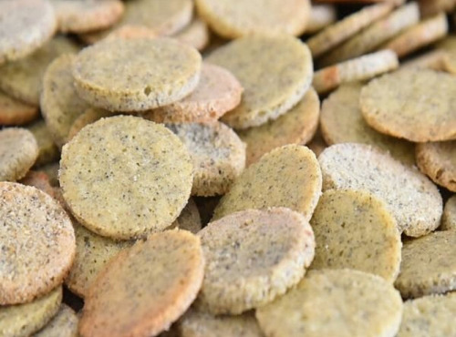 L'Atelier Contal - Paysan Meunier Biscuitier - Biscuits Les Croustilles des Papilles - 100g