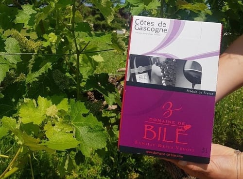Domaine de Bilé - Fontaine à Vin BIB Rosé - Vin IGP Côtes de Gascogne - 5 Litres