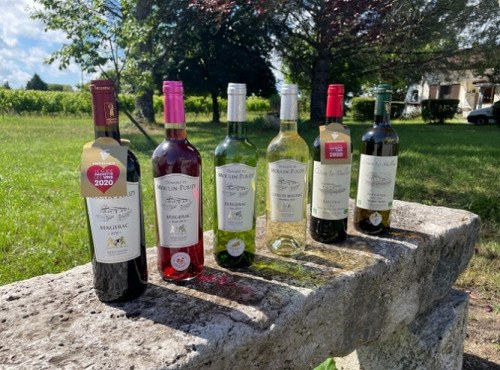 Vignobles Fabien Castaing - Lot Découverte des Vins de Bergerac