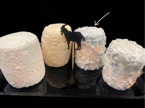 Ferme les Avoineries - Grand chèvre bleu tendre x1