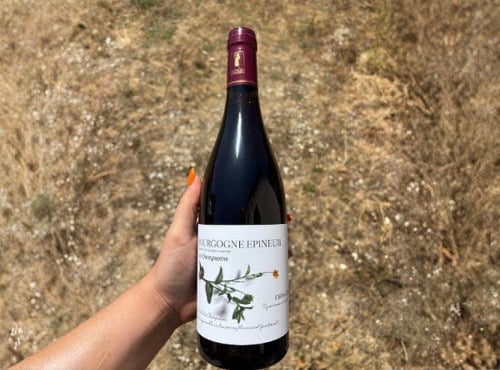 Domaine Céline Coté - Bourgogne Epineuil 2023