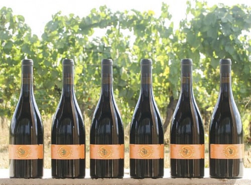 Domaine la Paganie - Vin rouge de Cahors élevé en amphore – La Terre – 6 bouteilles