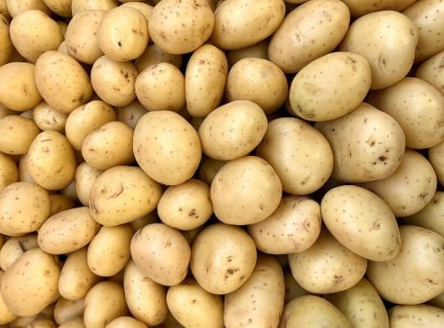 Les Jardins de Gérard - Pomme de terre grenaille Bio - 1 kg