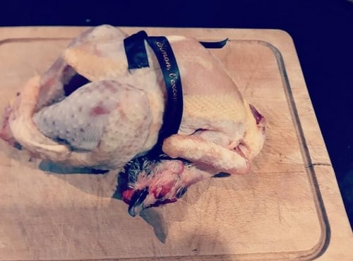 Des Poules et des Vignes à Bourgueil - Gournay de Normandie - Effilée