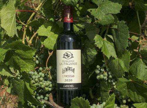 Domaine la Paganie - Vin rouge de Cahors élevé en Barrique - L'Origine 2020 - 1 bouteille