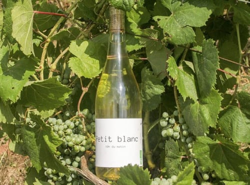 Domaine la Paganie - Vin blanc Bio - Petit blanc - 1 bouteilles