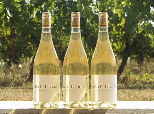 Domaine la Paganie - Vin blanc Bio - Petit blanc - 3 bouteilles