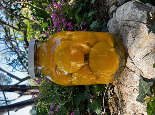 L'OLIVERAIE DU COUDON - Pêches Entières au Sirop 3000g