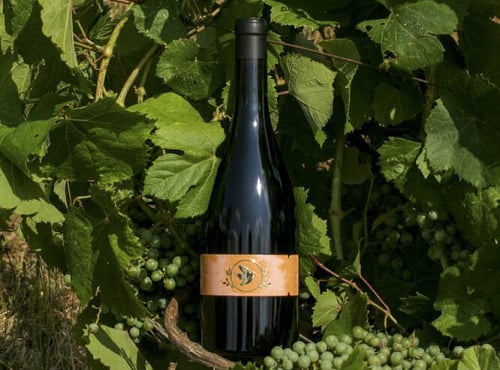 Domaine la Paganie - Vin Rouge de Cahors élevé en Amphore - LA TERRE 2023 - 1 bouteille