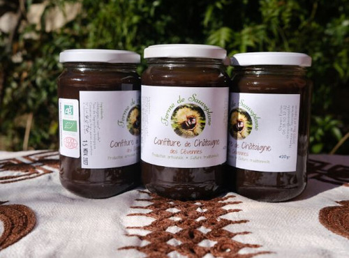Nogales - Confiture de châtaigne des Cévennes Bio et AOC - 420g