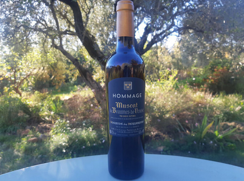 Domaine des Bernardins - Domaine des Bernardins - Muscat de Beaumes de Venise - Cuvée "hommage" - 6 bouteilles