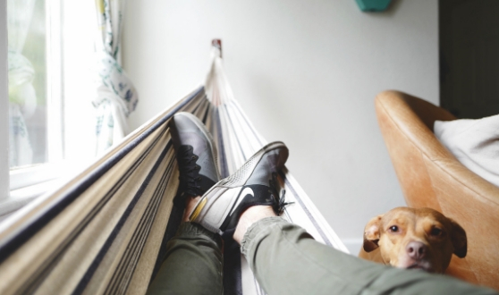 Menu pieds sous la table