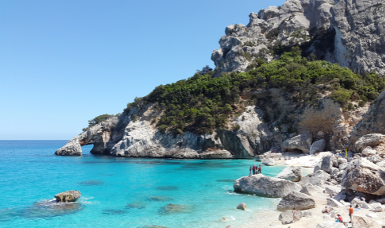 Produits de la Méditerranée