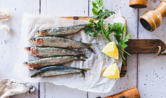 Sardines