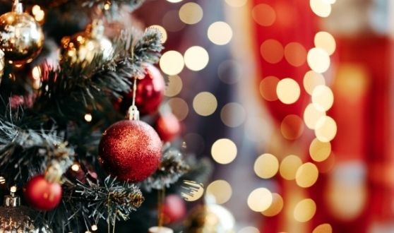 Nos produits pour un Noël réussi