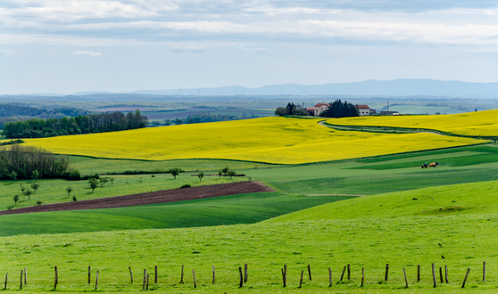 Produits de la Lorraine