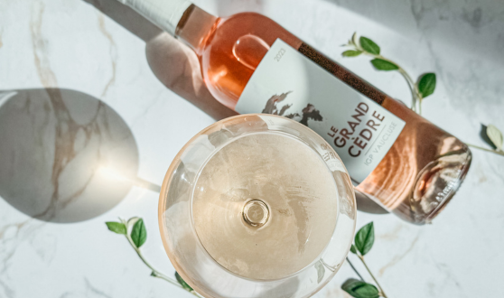 Vins de Provence-Alpes Côte d'Azur