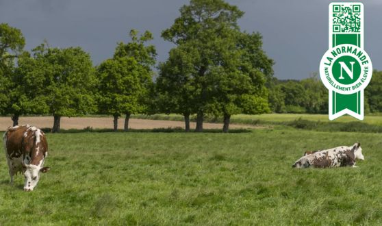 Les produits du label Signature Normande