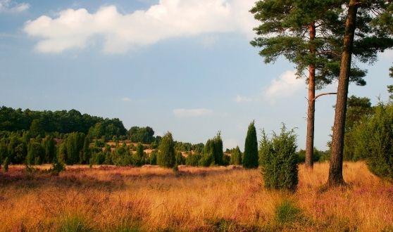 Produits du Sud Ouest