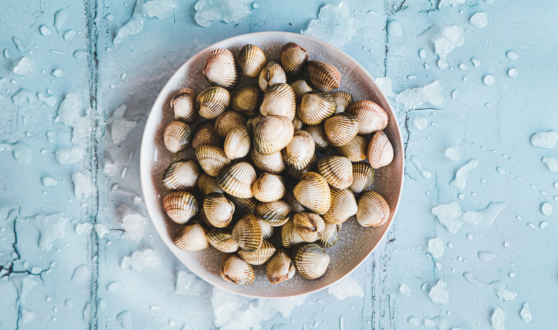 Coques, praires et vénus