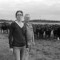 Ferme Angus