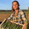 Asperges Guirao