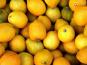 Les Herbes du Roussillon - Citrons producteur-300gr