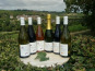 Domaine Doudeau-Leger - Coffret Découverte Des Vins Doudeau-léger - 6 Bouteilles