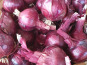 La Ferme de Milly - Anjou - Oignons rouges bio - 500g
