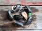 Camargue Coquillages - Moules De Camargue Nettoyées - Agriculture Biologique - 1kg