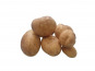 La Ferme d'Arnaud - Pomme de terre nouvelle (four, purée, frite) - le kg