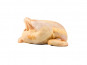 Ferme de Vertessec - Poulette dorée de Vertessec - 1,5kg