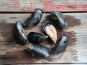 Camargue Coquillages - Moules de corde de Camargue - 5kg