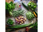 La Ferme d'Artaud - Panier de Mini Légumes Gastronomiques