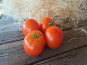 Les Jardins de Gérard - Tomate rouge ronde Bio- 3 kg
