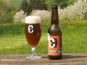 Micro brasserie Blessing - L’INSOLENTE, bière ambrée de fermentation haute – 12x33cl