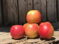 La Boite à Herbes - Pomme  bicolore  Story- - 3kg