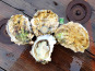 Camargue Coquillages - La Perle De Camargue Huîtres Creuses Bio - Grosses À Cuire