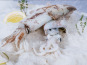 Côté Fish - Mon poisson direct pêcheurs - Calamars 500g