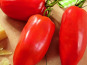 Les Champs Paradis - tomate cornue des Andes véritable 1 kg