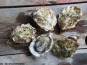 Camargue Coquillages - Huîtres La Perle de Camargue N°3 - 3 kg