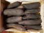 Maison Quéméner - Radis noir long - 1 pièce (environ 450g)