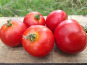 Les Champs Paradis - tomate ronde 1kg