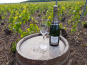 Champagne Deneufchatel - Champagne Deneufchatel Millésime 1 X 75 Cl